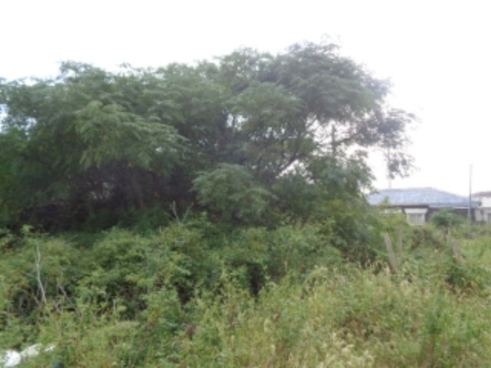 소재지3(동일리 2866-4) 전경 사진