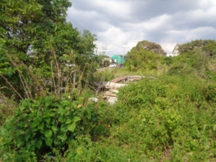 소재지1(동일리 2866-5) 전경 사진