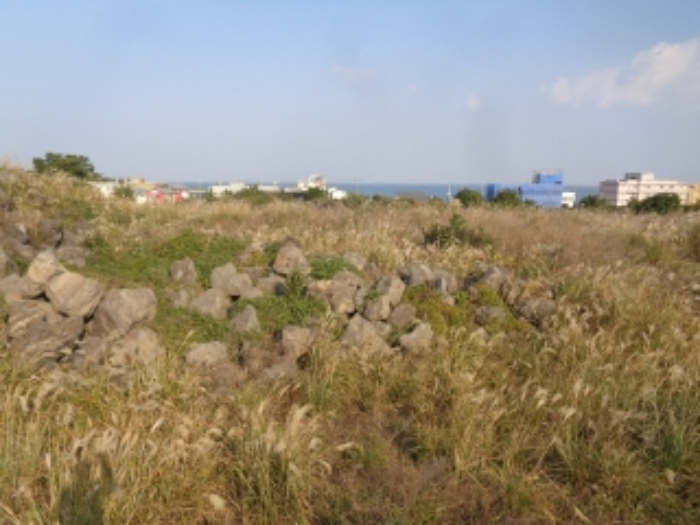 소재지3,4(용담삼동 2210-2, 2209) 전경 사진