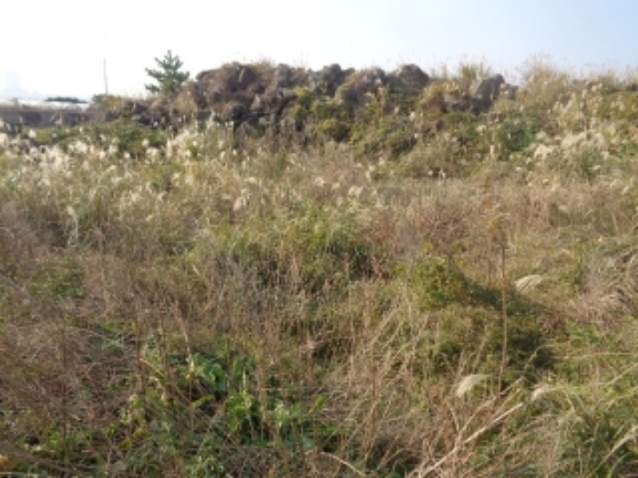 소재지3,4(용담삼동 2210-2, 2209) 전경 사진