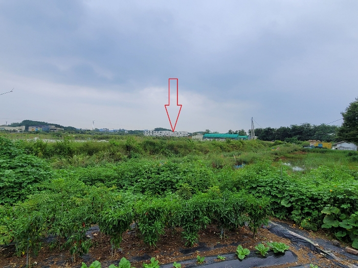 본건 단지 주변
