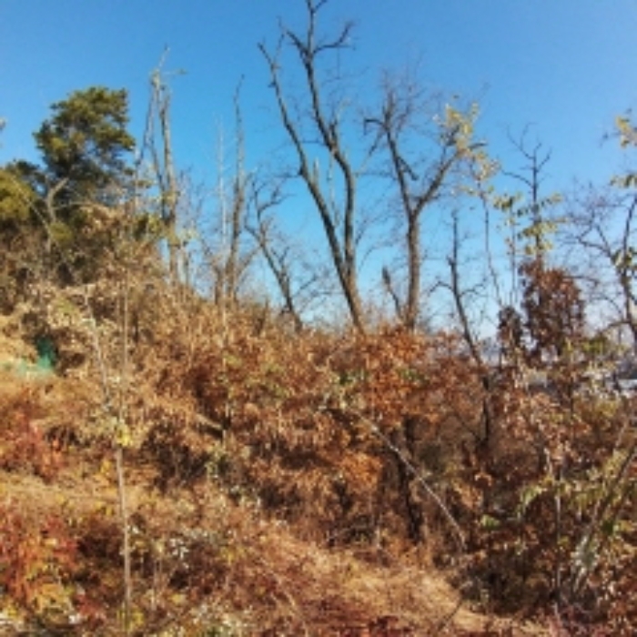 이 사건 부동산 모습 1.