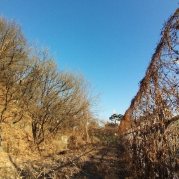 이 사건 부동산 입구 모습