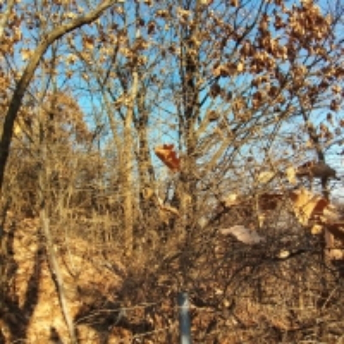 해당 부동산 모습 1.