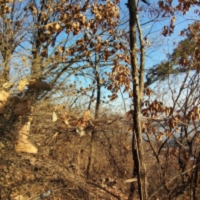 해당 부동산 모습 2.