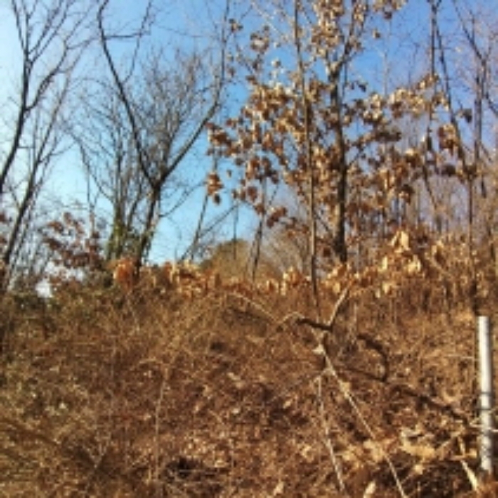 해당 부동산 모습 3.