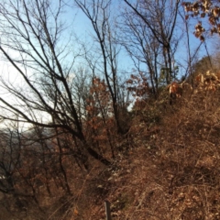 해당 부동산 모습 4.