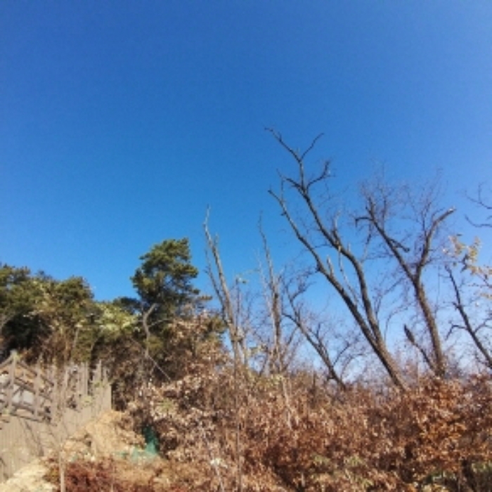 이 사건 부동산 모습 2.