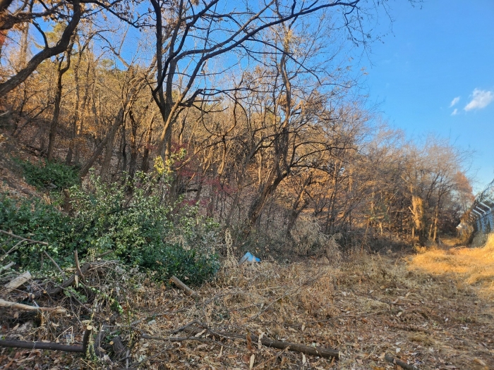 본건 내부 전경