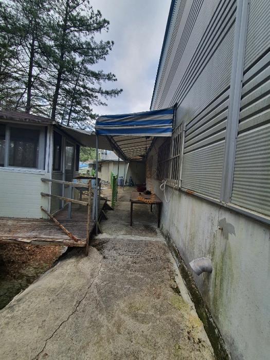 제시외 건물 ㅂ