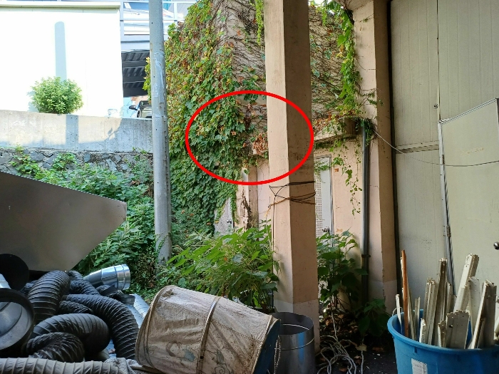 제시외 건물(ㄷ)