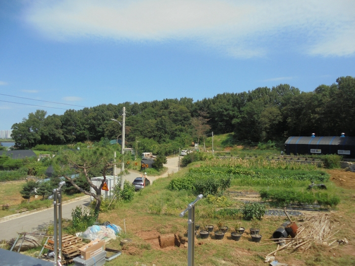 본건 전경(원거