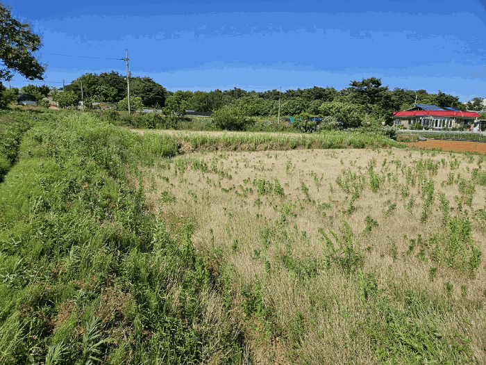 본건 전경 (남서측 촬영)