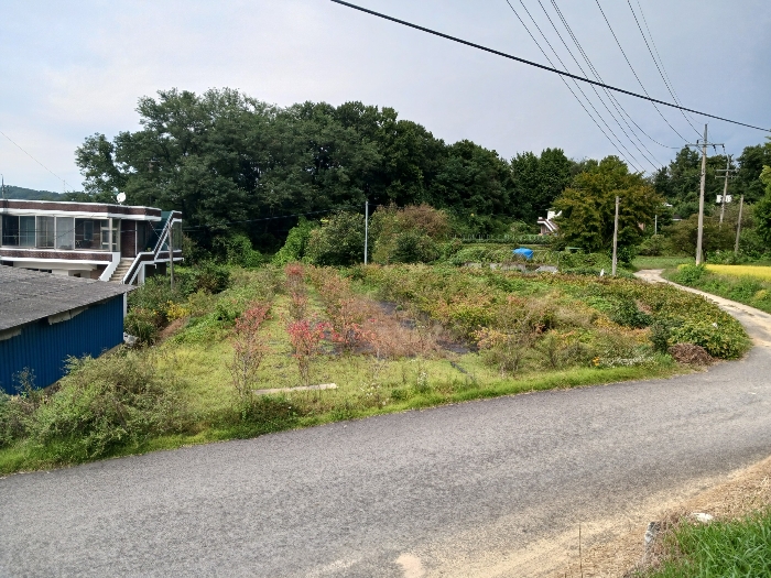 대상물건 기호6 도로