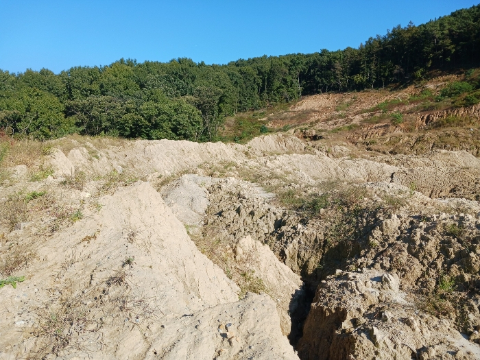 대상물건 기호10 전경 일부및 하단부 상태