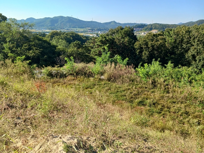 대상물건 기호10 일부 수목