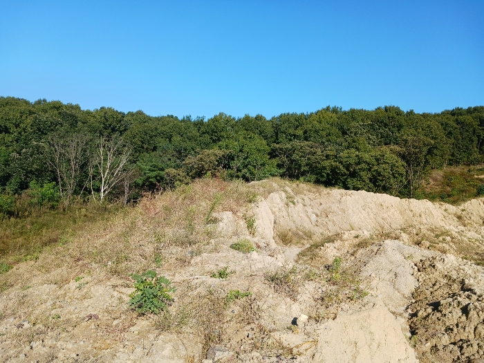 대상물건 기호10 일부 수목