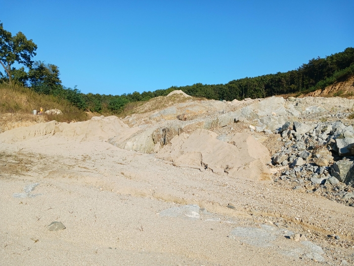 대상물건 기호4 근경일부