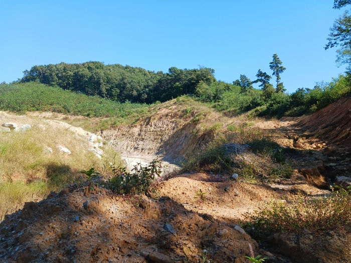 대상물건 측경 일부:기호11 하단부터 상단