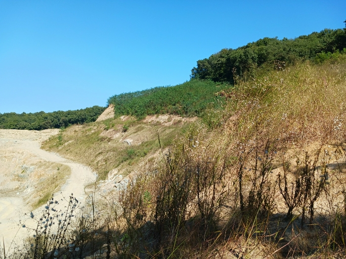 대상물건 기호11상부 일부