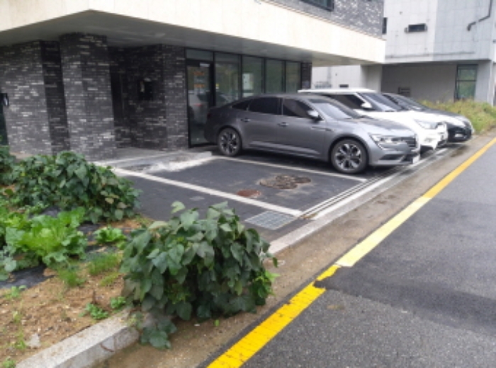 * 본건 목적물 전경(주차시설)