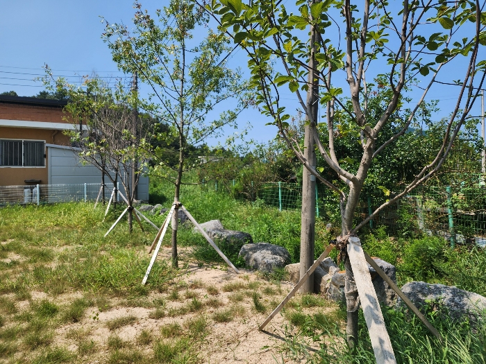 기호1 (제시외수목 등)