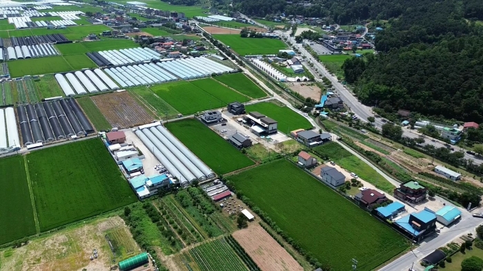 본건 및 주위환경