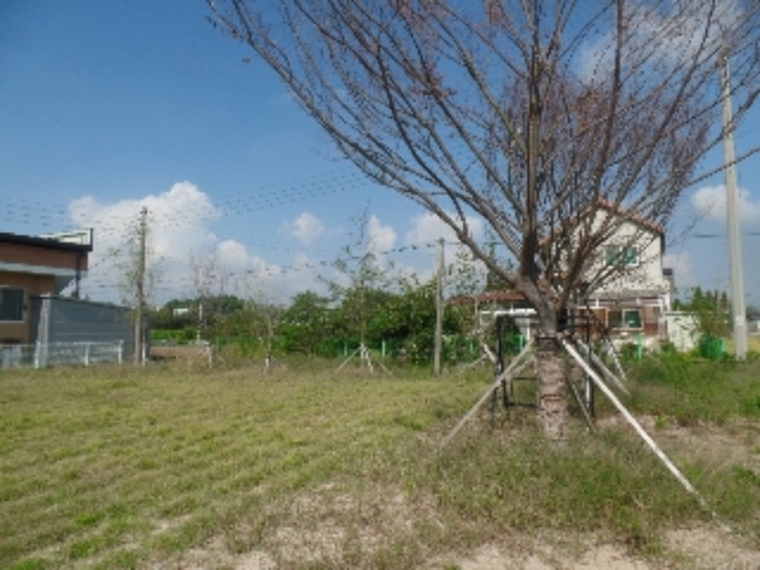 기호 1. 일부 잔디밭 및 제시외 수목 소재