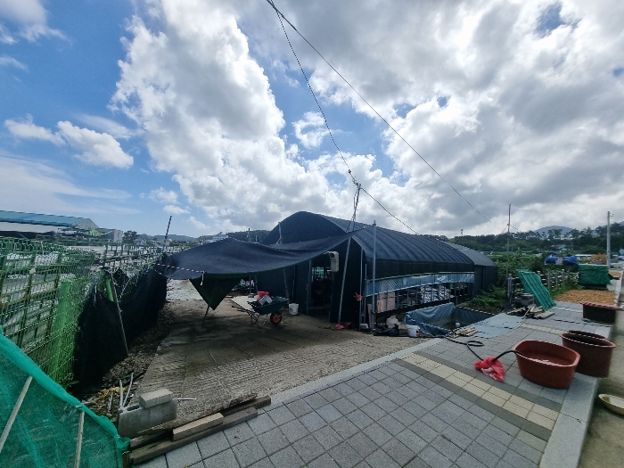 본건(북동측촬영)