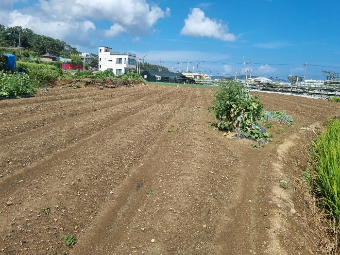 본건(남서측에서 촬영)