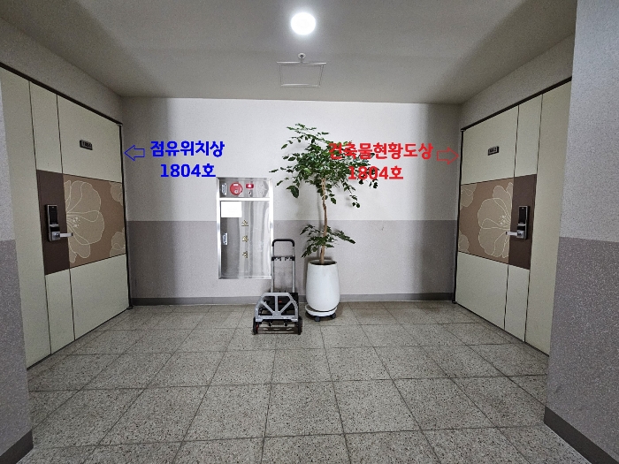 본건 세대호