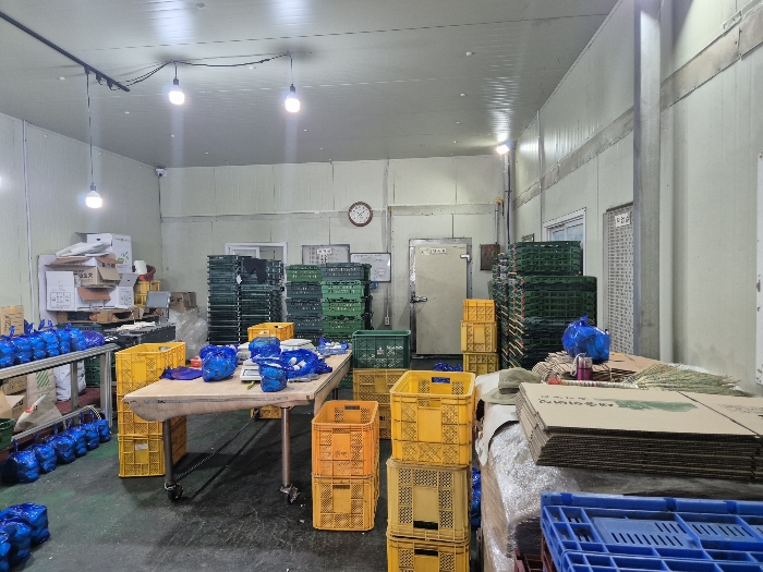 본건 기호(4) 내부