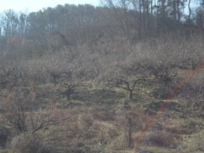 대곡리800-9외 전경