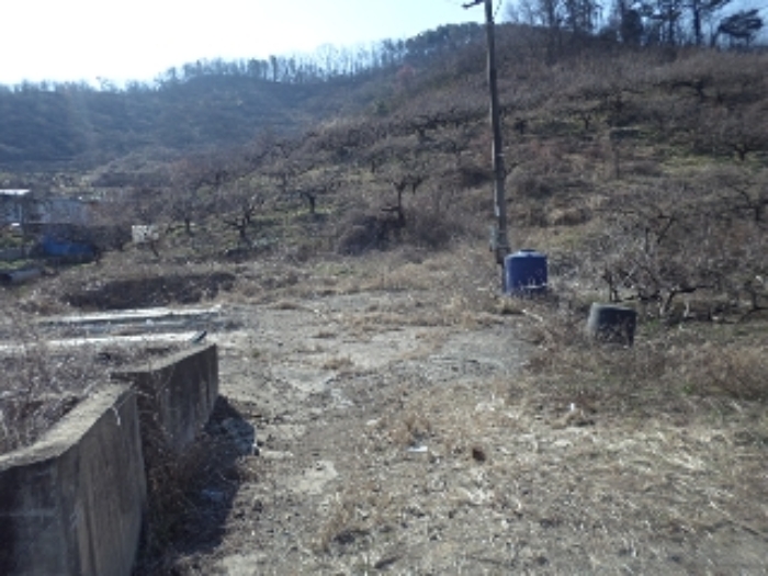 대곡리801-1외 전경