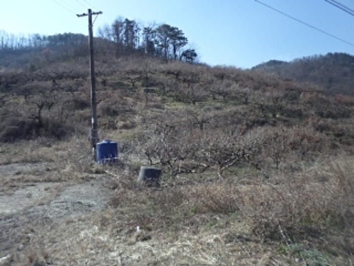 대곡리801-1외 전경