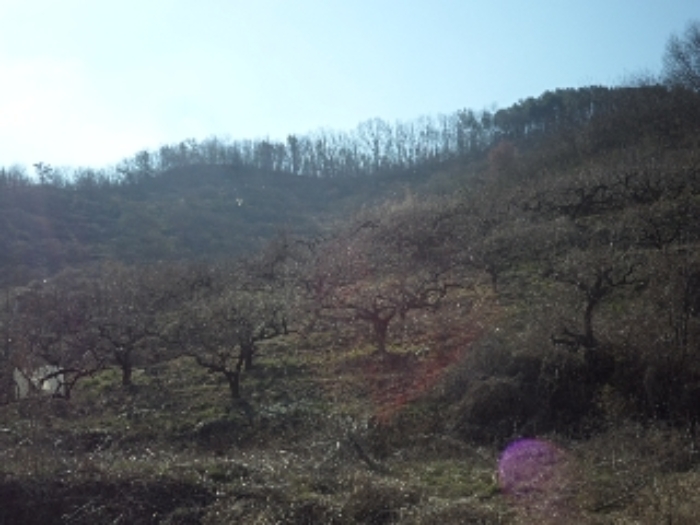 대곡리800-5외 전경