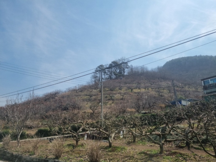 본건[1,2,3,4,5,6]전경
