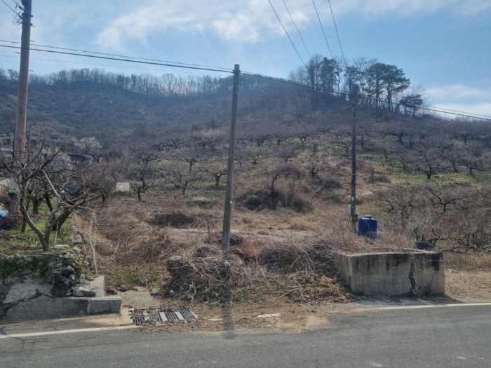 본건[1,2,3,4,5,6,7]전경 