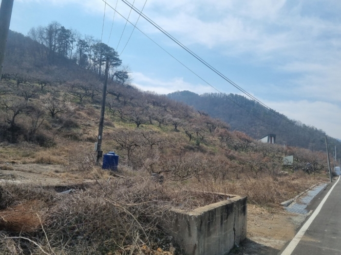 본건[1,2,3,4,5,7,8,9]전경 