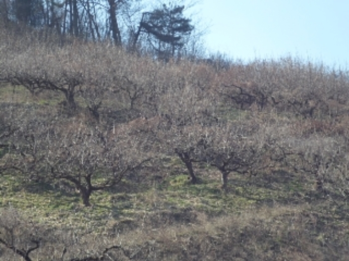 대곡리801-2외 전경