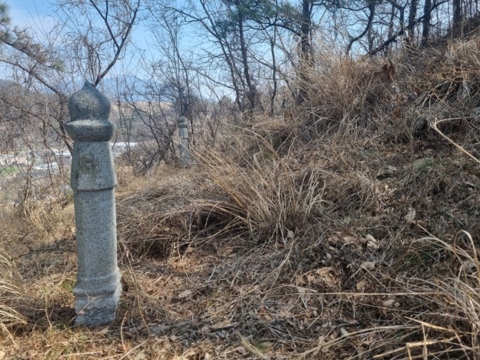 본건[5]지상 분묘 