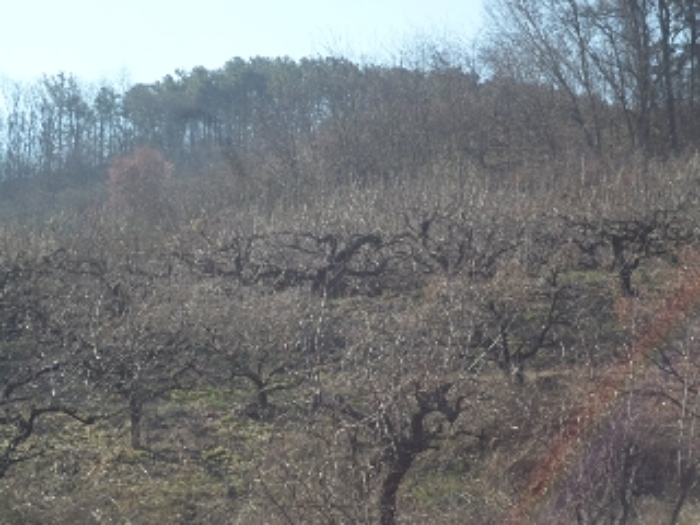 대곡리800-5외 전경