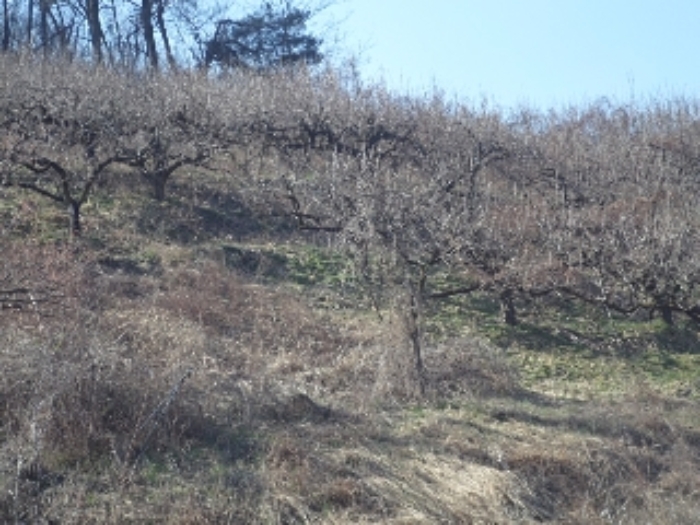 대곡리800-2외 전경