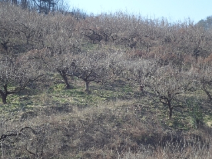대곡리800-8외 전경