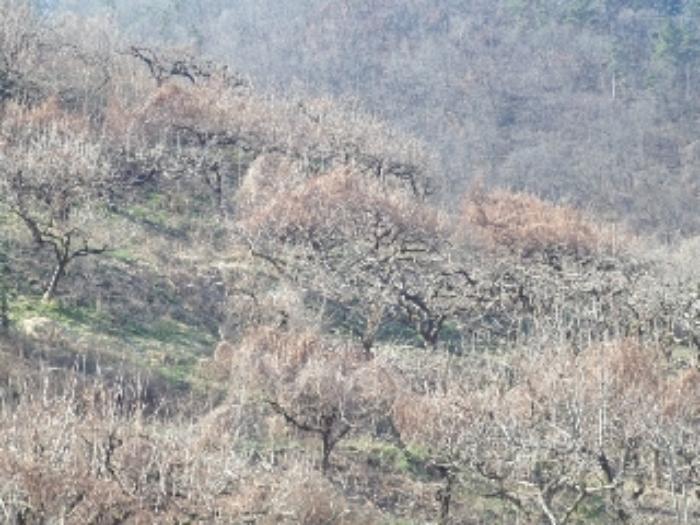 대곡리800-7외 전경