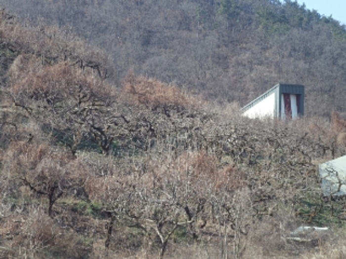 대곡리800-8외 전경