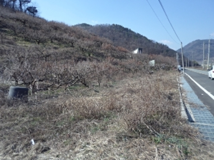 대곡리797-6외 전경