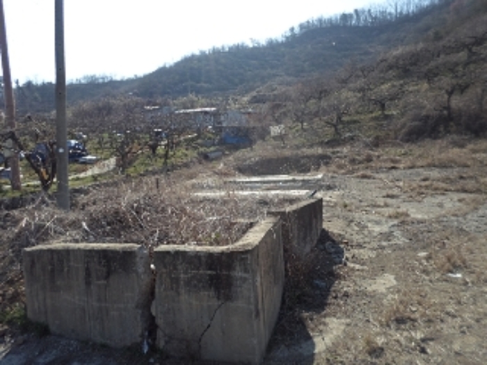 대곡리801-1외 전경