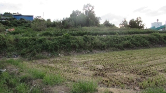 송진리 263외 전경