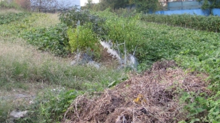 송진리 263외 전경